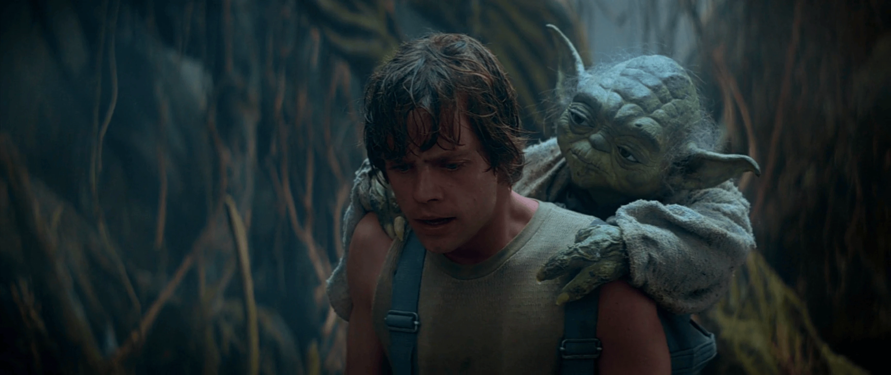 Luke on Dagobah, his mind turned elsewhere